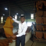 one man showing RSS rubber sheet in the factory